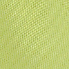Fliege kiwi