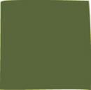 Schal Uni Armee grün